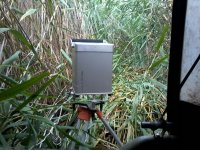 ������������� � ���������� ����