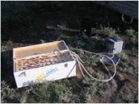 ������������� ������