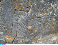 �������������� ������ ������