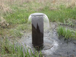 ������� ������� �� ����